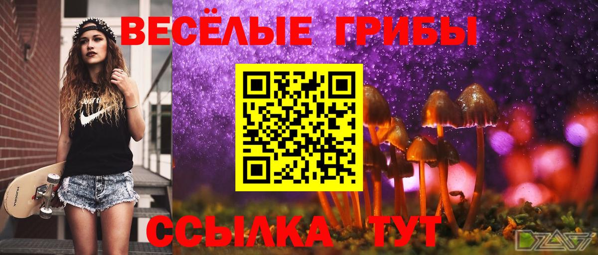 Кохма  Галлюциногенные грибы GOLDEN TEACHER  Вход с VPN 
