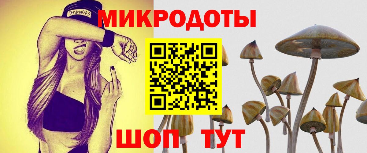 Галлюциногенные грибы Psilocybine cubensis Кохма